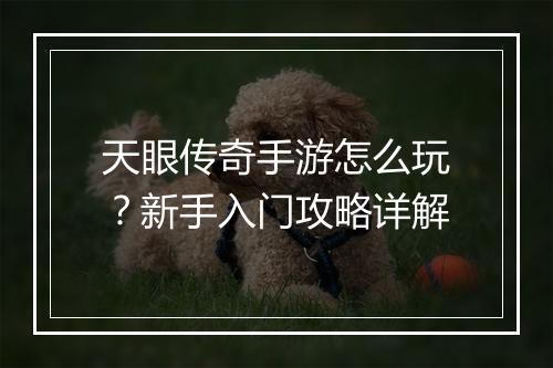 天眼传奇手游怎么玩？新手入门攻略详解