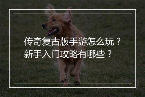 传奇复古版手游怎么玩？新手入门攻略有哪些？