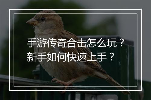 手游传奇合击怎么玩？新手如何快速上手？