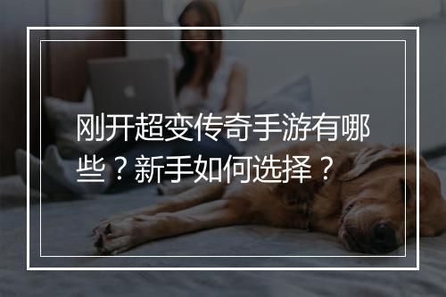 刚开超变传奇手游有哪些？新手如何选择？