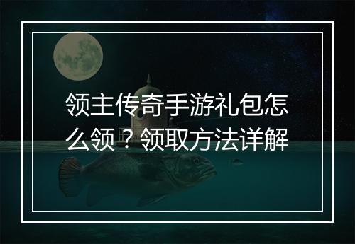 领主传奇手游礼包怎么领？领取方法详解