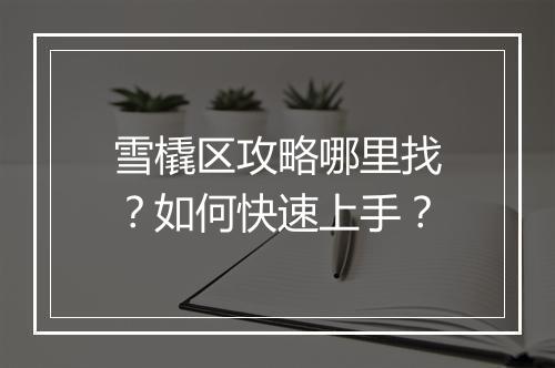雪橇区攻略哪里找？如何快速上手？