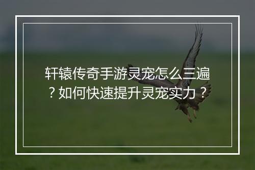 轩辕传奇手游灵宠怎么三遍？如何快速提升灵宠实力？