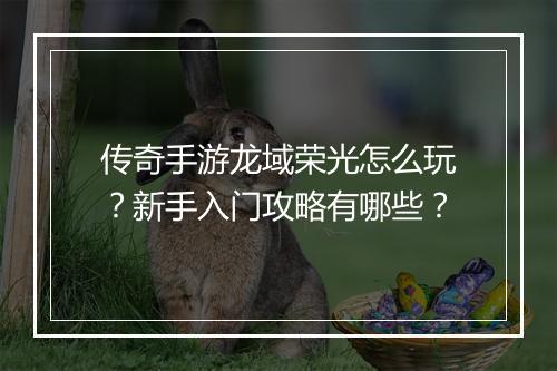 传奇手游龙域荣光怎么玩？新手入门攻略有哪些？