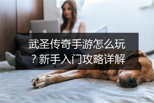 武圣传奇手游怎么玩？新手入门攻略详解
