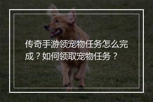 传奇手游领宠物任务怎么完成？如何领取宠物任务？