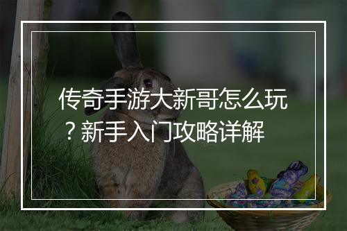 传奇手游大新哥怎么玩？新手入门攻略详解