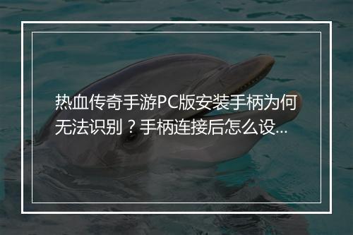 热血传奇手游PC版安装手柄为何无法识别？手柄连接后怎么设置？