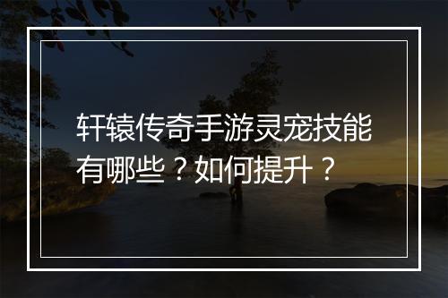 轩辕传奇手游灵宠技能有哪些？如何提升？