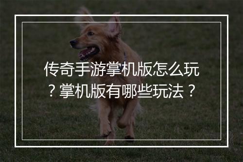 传奇手游掌机版怎么玩？掌机版有哪些玩法？