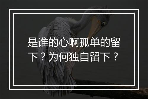 是谁的心啊孤单的留下？为何独自留下？