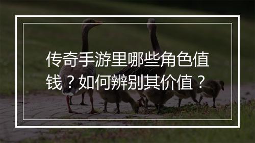传奇手游里哪些角色值钱？如何辨别其价值？