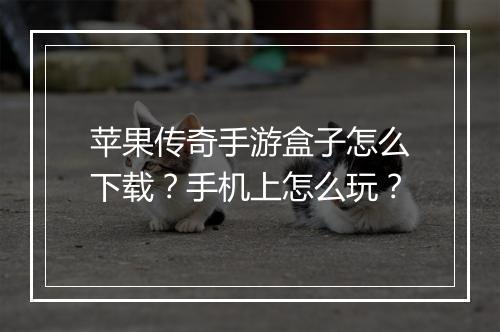 苹果传奇手游盒子怎么下载？手机上怎么玩？