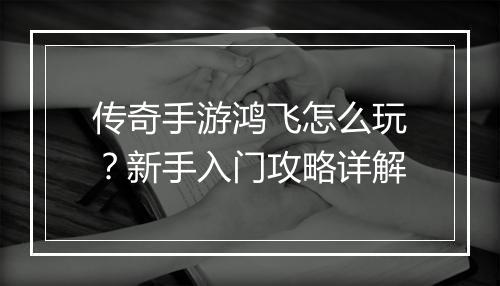传奇手游鸿飞怎么玩？新手入门攻略详解