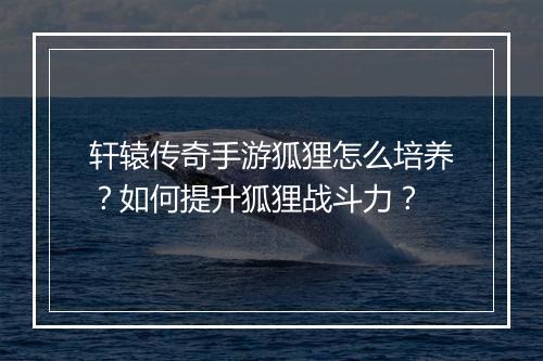 轩辕传奇手游狐狸怎么培养？如何提升狐狸战斗力？
