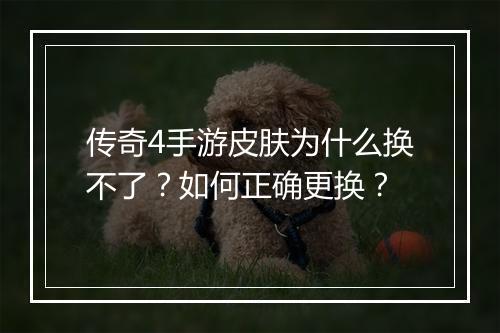 传奇4手游皮肤为什么换不了？如何正确更换？