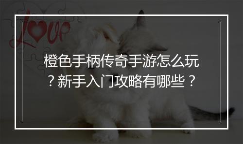 橙色手柄传奇手游怎么玩？新手入门攻略有哪些？