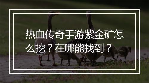 热血传奇手游紫金矿怎么挖？在哪能找到？