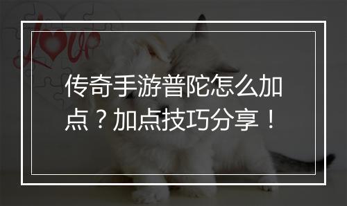 传奇手游普陀怎么加点？加点技巧分享！