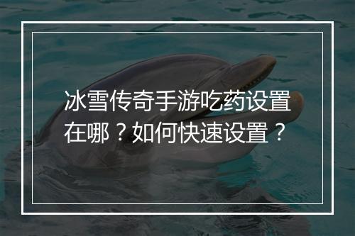 冰雪传奇手游吃药设置在哪？如何快速设置？