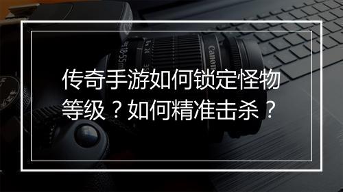传奇手游如何锁定怪物等级？如何精准击杀？