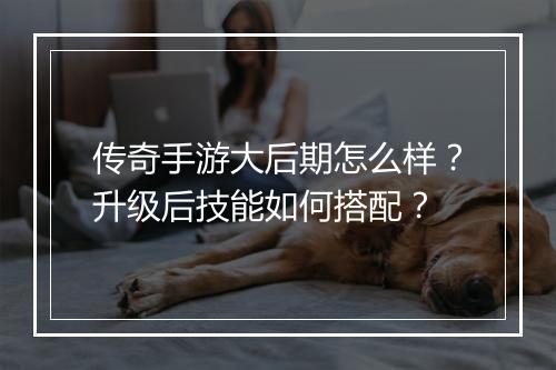 传奇手游大后期怎么样？升级后技能如何搭配？