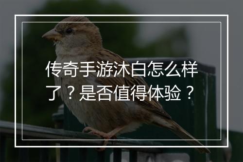传奇手游沐白怎么样了？是否值得体验？
