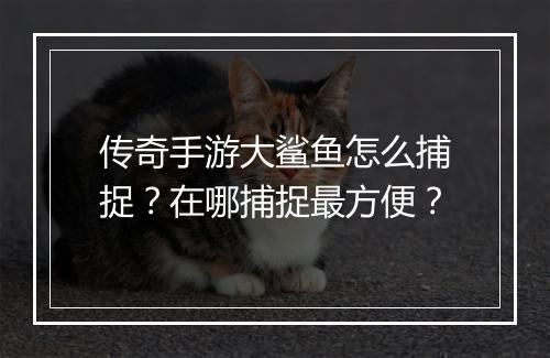 传奇手游大鲨鱼怎么捕捉？在哪捕捉最方便？