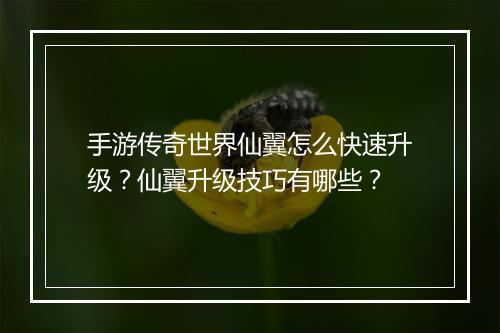 手游传奇世界仙翼怎么快速升级？仙翼升级技巧有哪些？