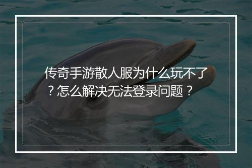 传奇手游散人服为什么玩不了？怎么解决无法登录问题？