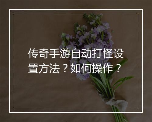 传奇手游自动打怪设置方法？如何操作？