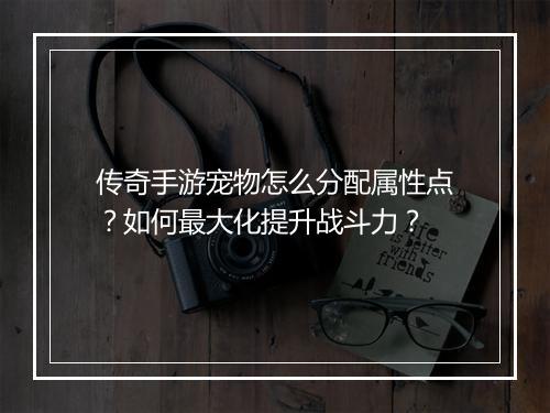 传奇手游宠物怎么分配属性点？如何最大化提升战斗力？