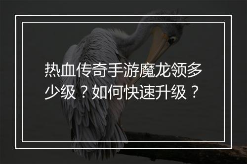 热血传奇手游魔龙领多少级？如何快速升级？