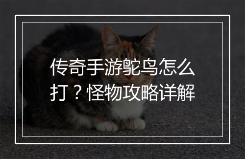 传奇手游鸵鸟怎么打？怪物攻略详解