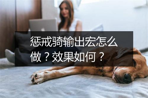 惩戒骑输出宏怎么做？效果如何？