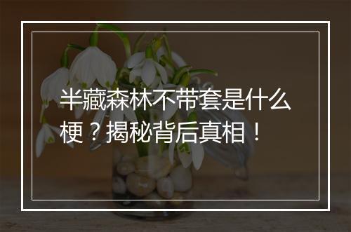 半藏森林不带套是什么梗？揭秘背后真相！