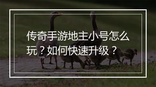 传奇手游地主小号怎么玩？如何快速升级？