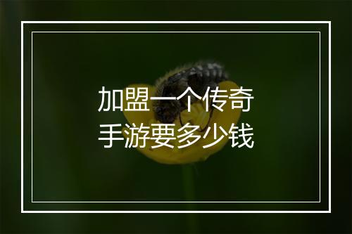 加盟一个传奇手游要多少钱
