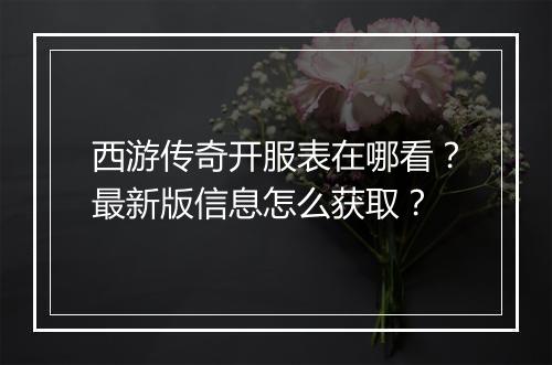 西游传奇开服表在哪看？最新版信息怎么获取？