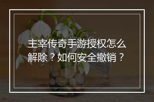 主宰传奇手游授权怎么解除？如何安全撤销？