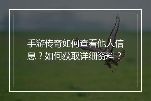 手游传奇如何查看他人信息？如何获取详细资料？