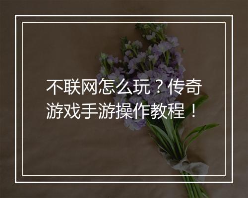 不联网怎么玩？传奇游戏手游操作教程！
