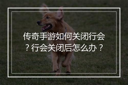 传奇手游如何关闭行会？行会关闭后怎么办？