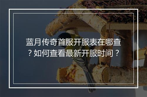 蓝月传奇首服开服表在哪查？如何查看最新开服时间？
