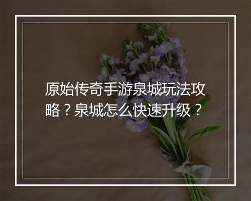 原始传奇手游泉城玩法攻略？泉城怎么快速升级？