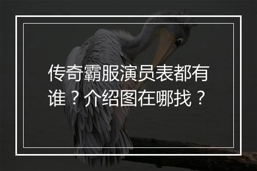 传奇霸服演员表都有谁？介绍图在哪找？