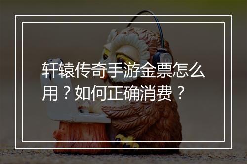 轩辕传奇手游金票怎么用？如何正确消费？