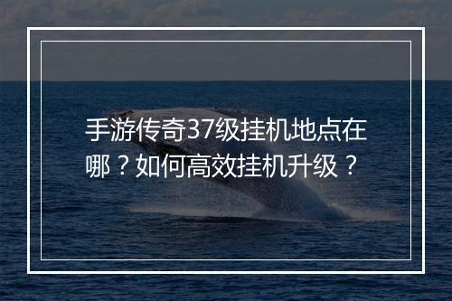 手游传奇37级挂机地点在哪？如何高效挂机升级？