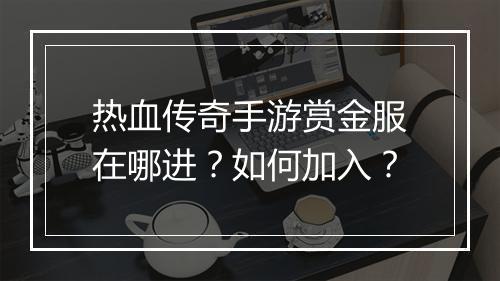 热血传奇手游赏金服在哪进？如何加入？