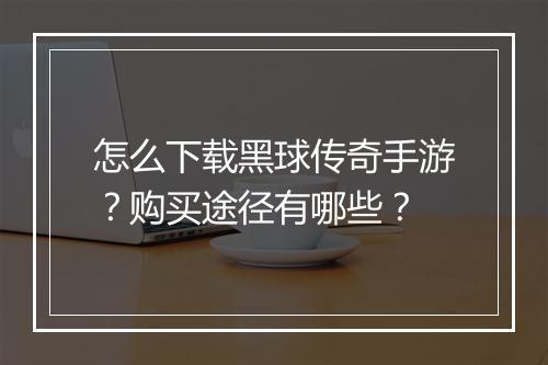 怎么下载黑球传奇手游？购买途径有哪些？